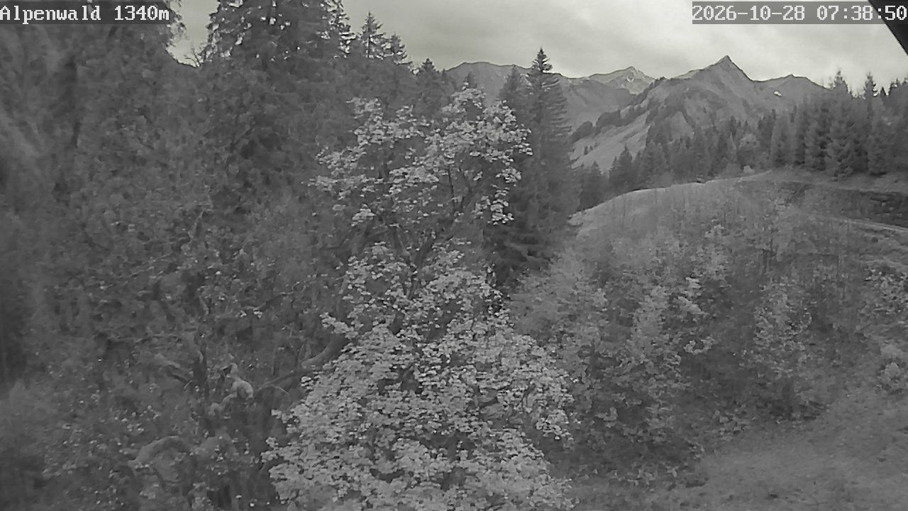 Bild: Gasthof Alpenwald